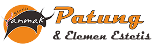 logo-lanmak-300x100
